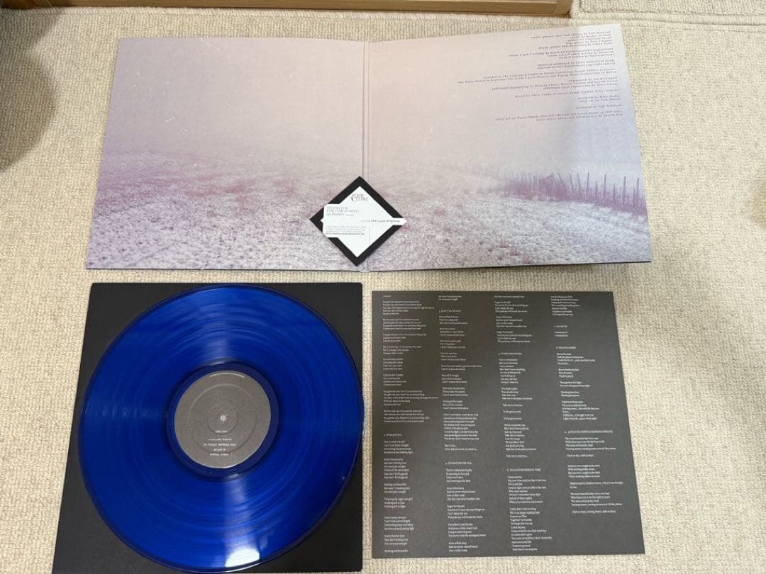 限定300枚 slowdive レコード 希少