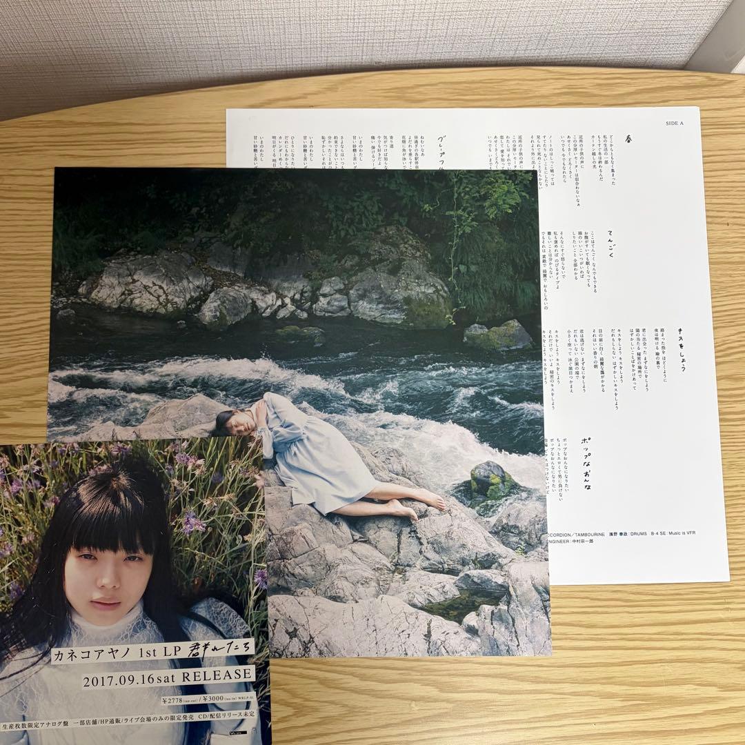 カネコアヤノ - 群れたち アナログレコード盤