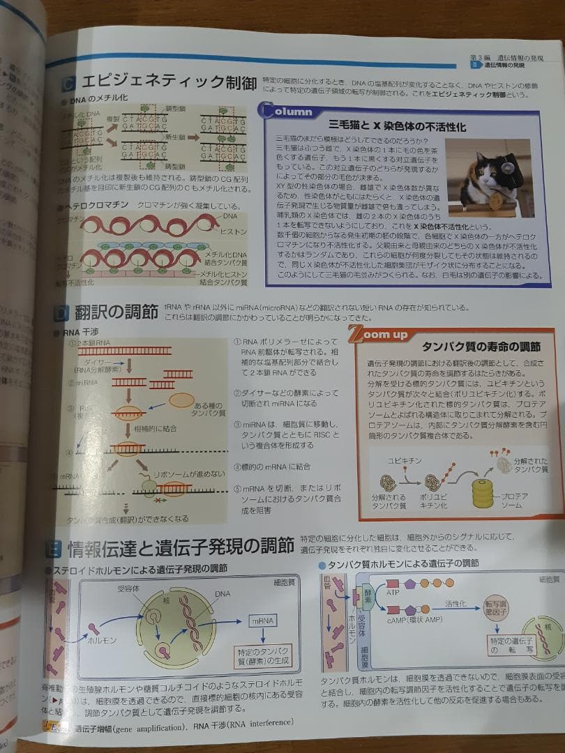 視覚でとらえる 生物図録