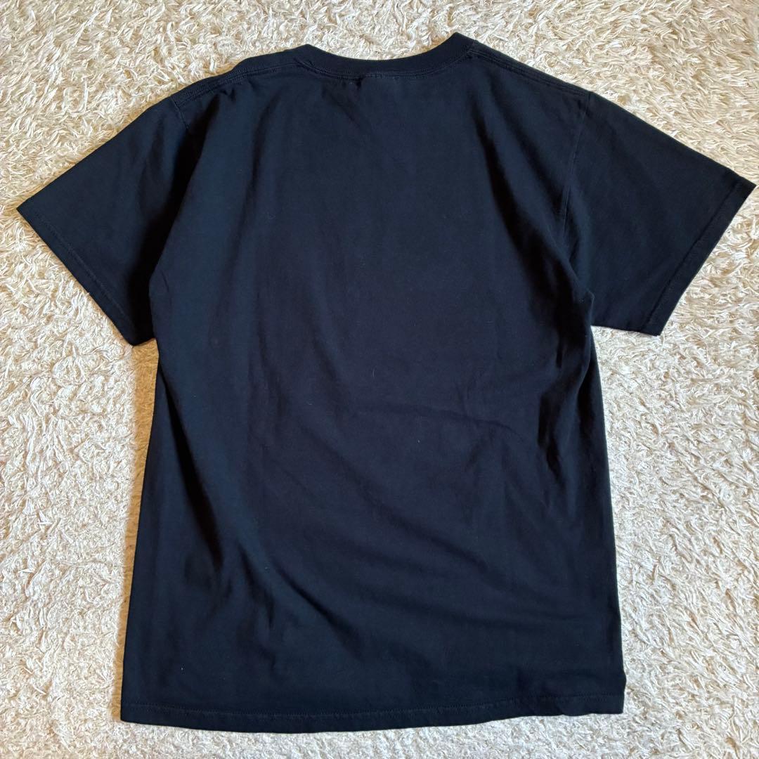 オペラ座の怪人 フルーツオブザルーム Tシャツ 00s 古着 M 黒