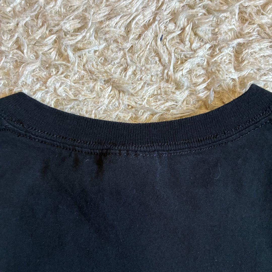 オペラ座の怪人 フルーツオブザルーム Tシャツ 00s 古着 M 黒