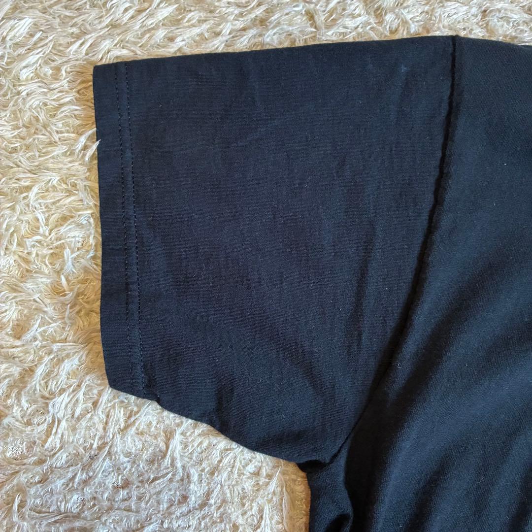 オペラ座の怪人 フルーツオブザルーム Tシャツ 00s 古着 M 黒