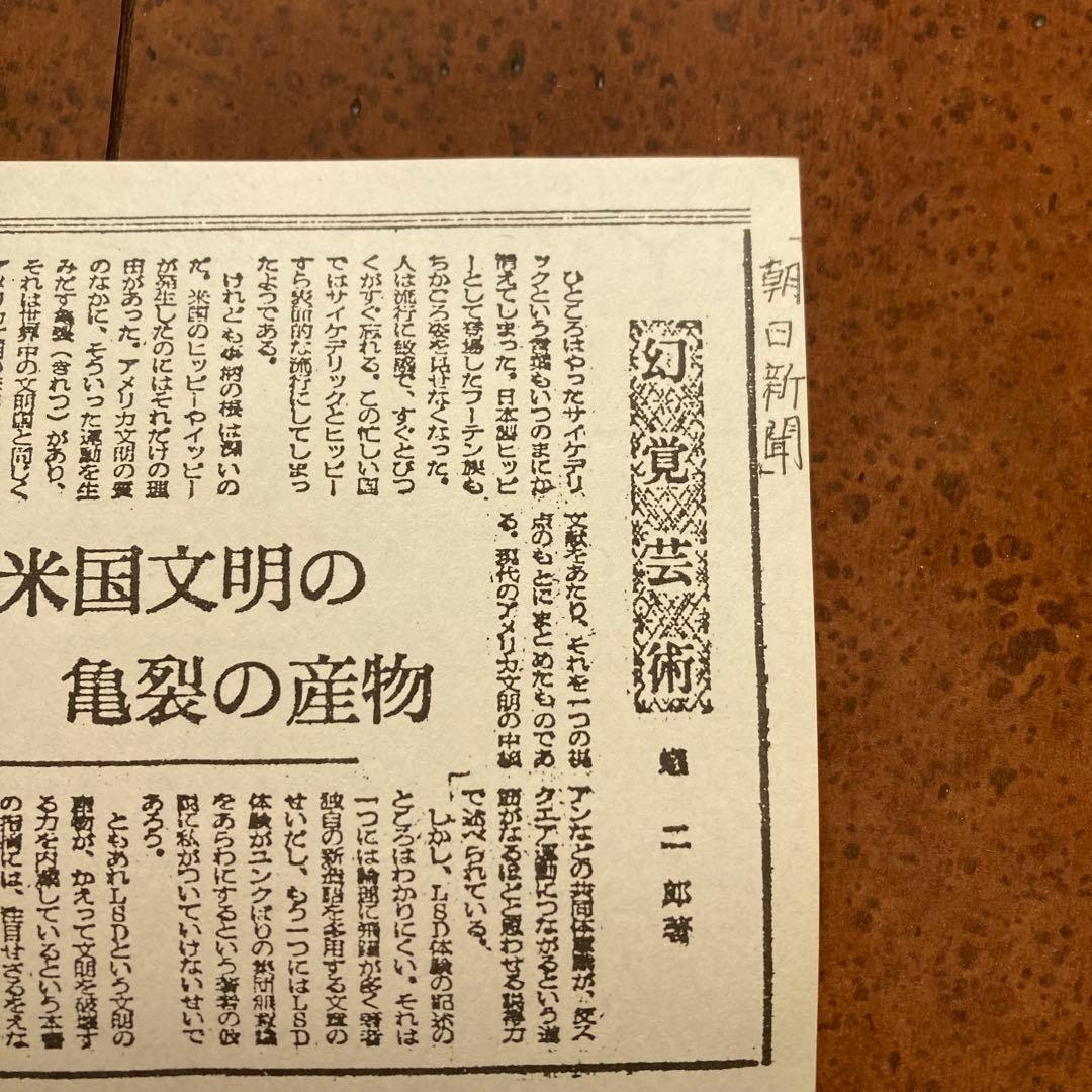 【希少】クール・クール LSD交感テスト 飯田隆昭　訳