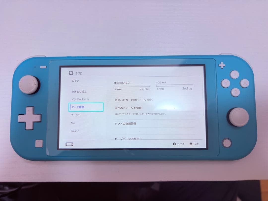 Nintendo Switch Nintendo Switch Light