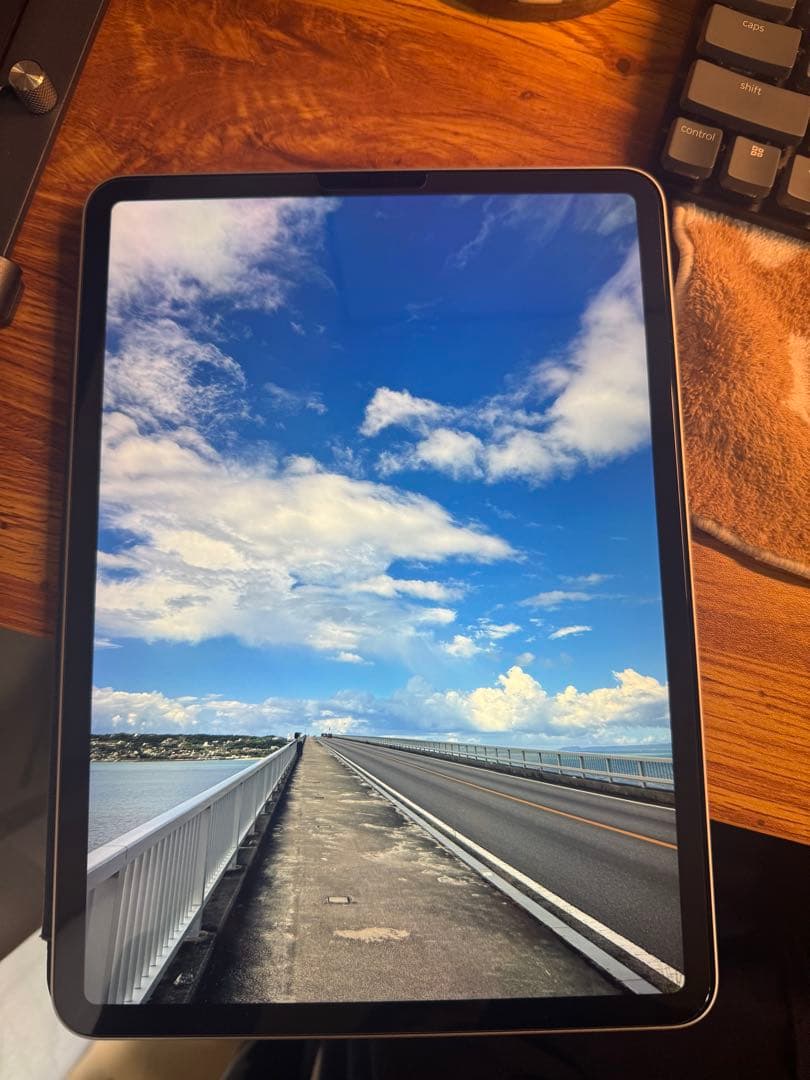 【特別値下】iPad Pro (第2世代) 11インチ256GB WiFiモデル