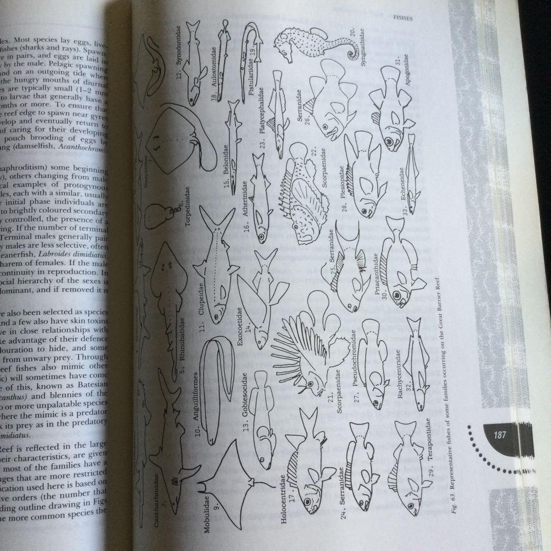 コーラルリーフ　珊瑚礁　生物　洋書　専門書　貝　魚　サンゴ　グレートバリアリーフ