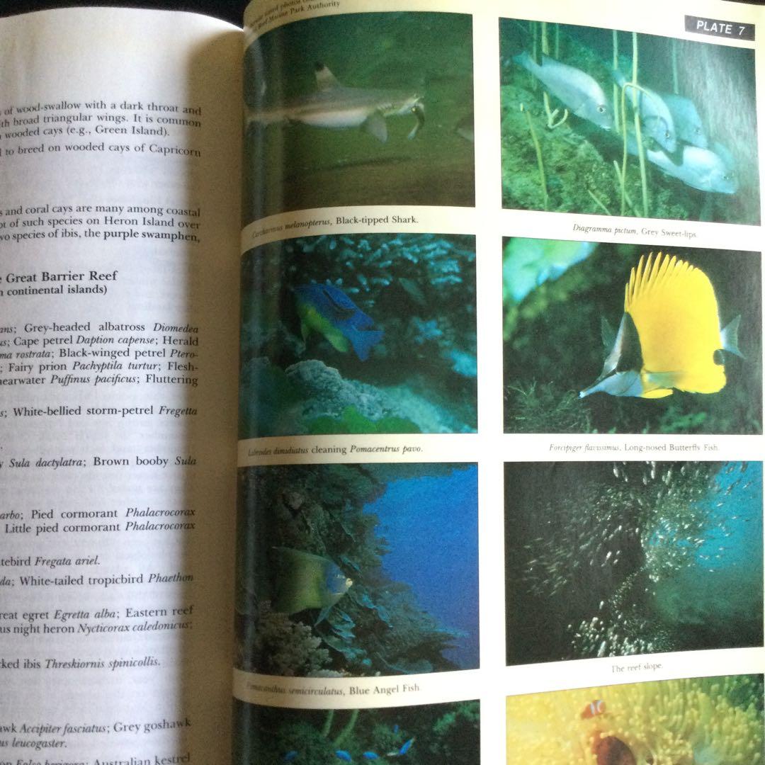 コーラルリーフ　珊瑚礁　生物　洋書　専門書　貝　魚　サンゴ　グレートバリアリーフ