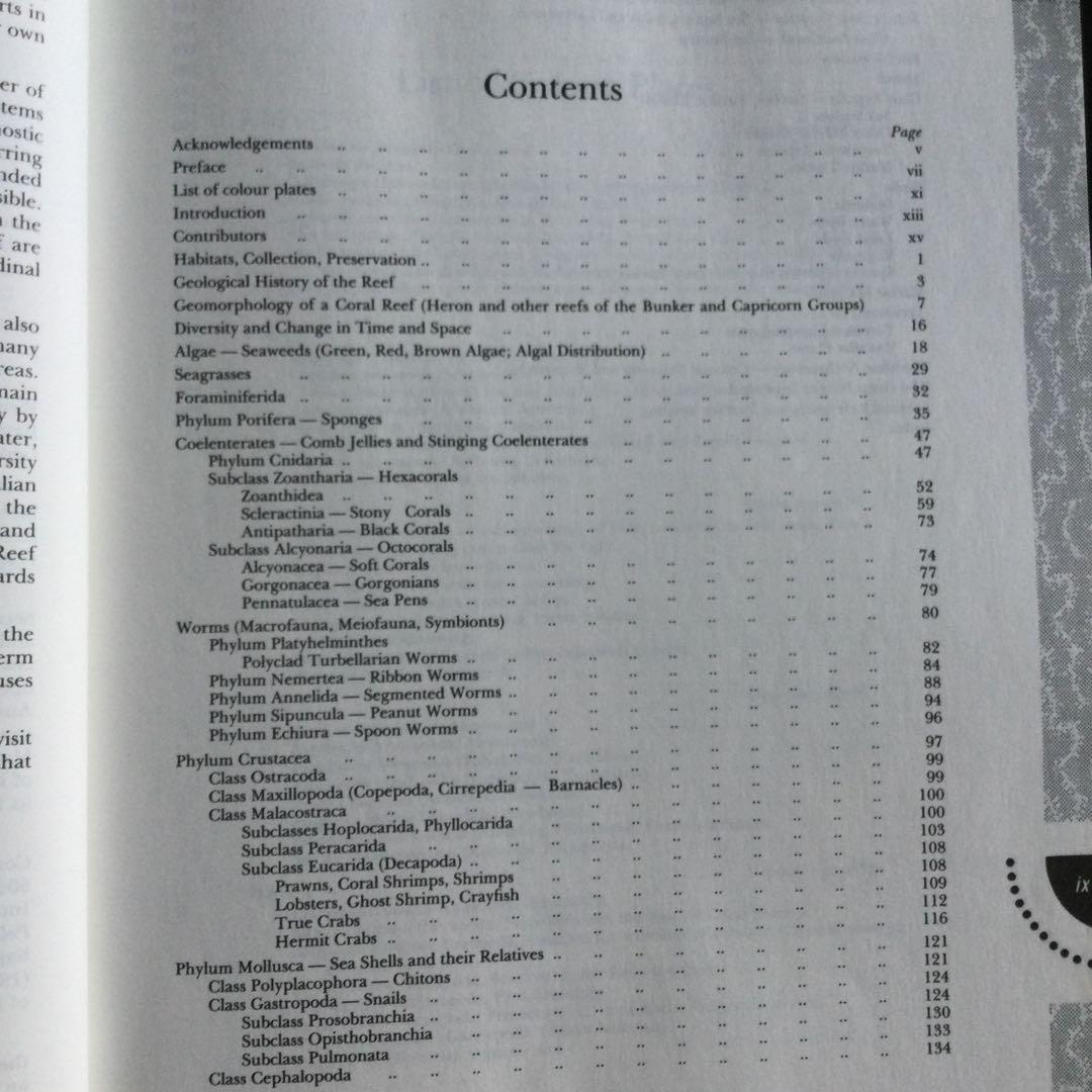 コーラルリーフ　珊瑚礁　生物　洋書　専門書　貝　魚　サンゴ　グレートバリアリーフ