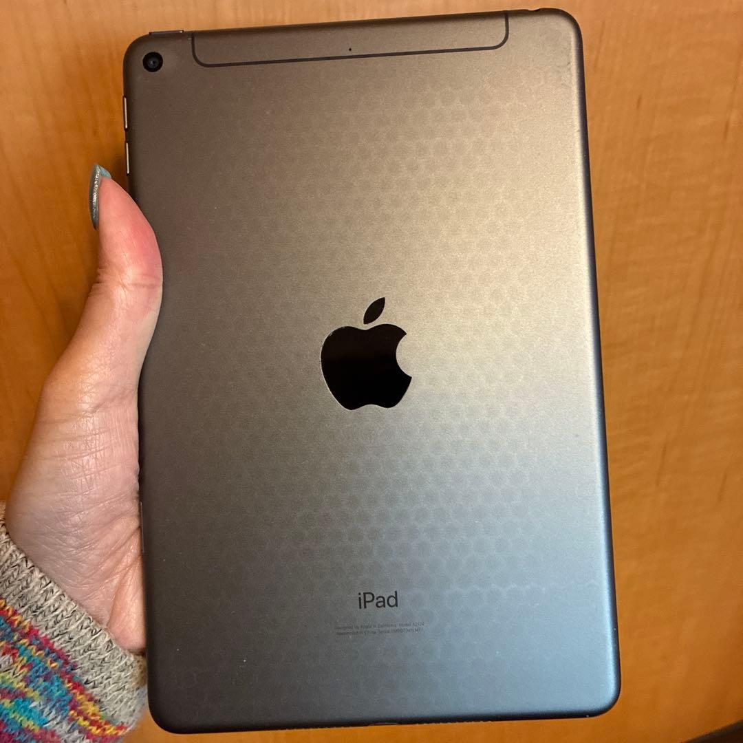 Apple iPad 第5世代　スペースグレー 本体 64 初期化済