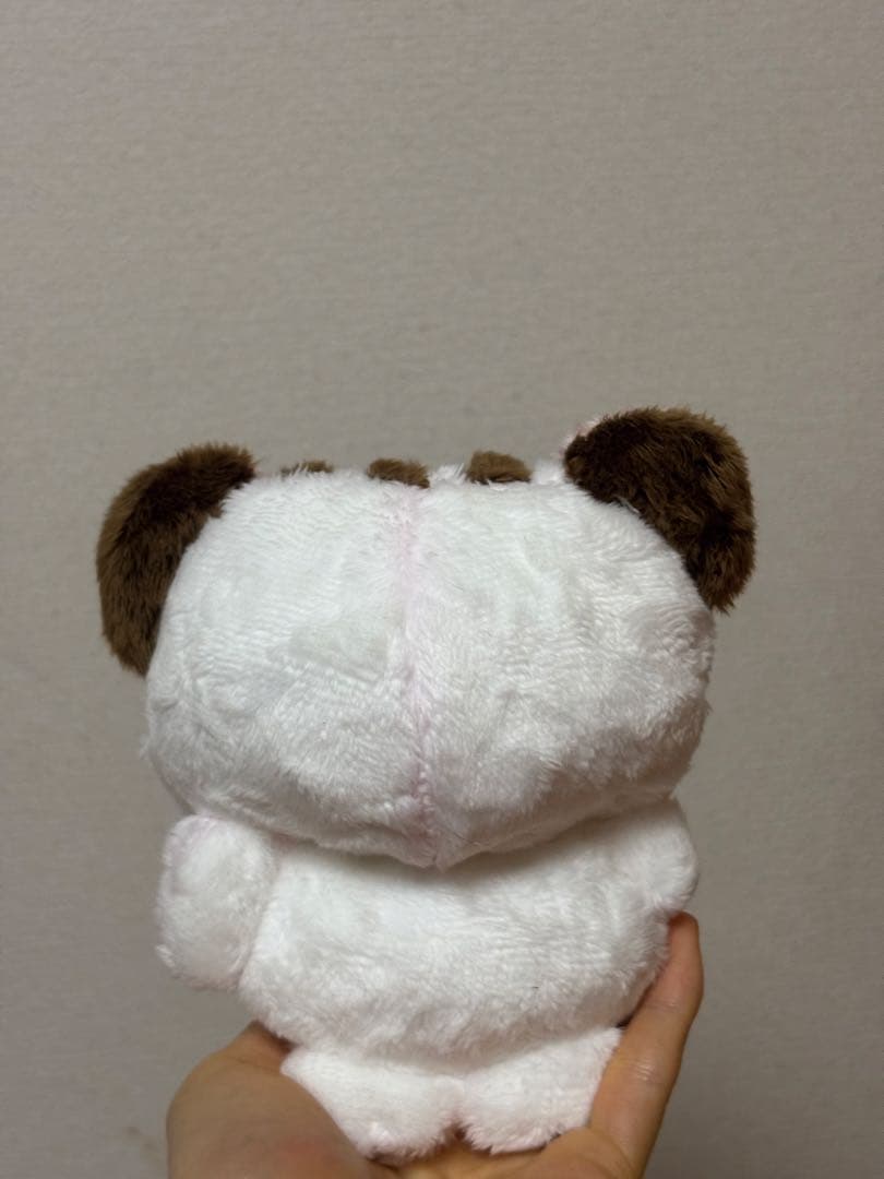 迷い猫 (チョコ大福)