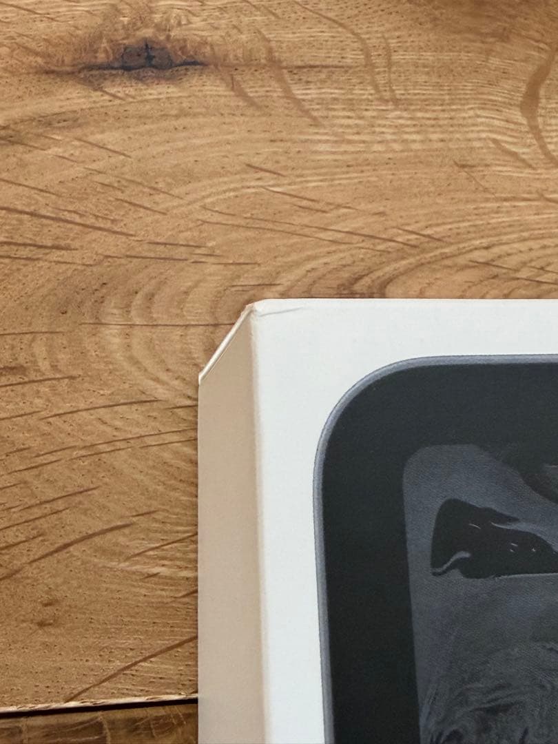 iPad Pro 11インチ 256GB MTXQ2J/A