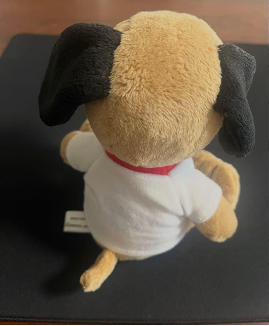 m*s様 ハワイ限定 PEANUTS 日焼け スヌーピー ぬいぐるみ moni