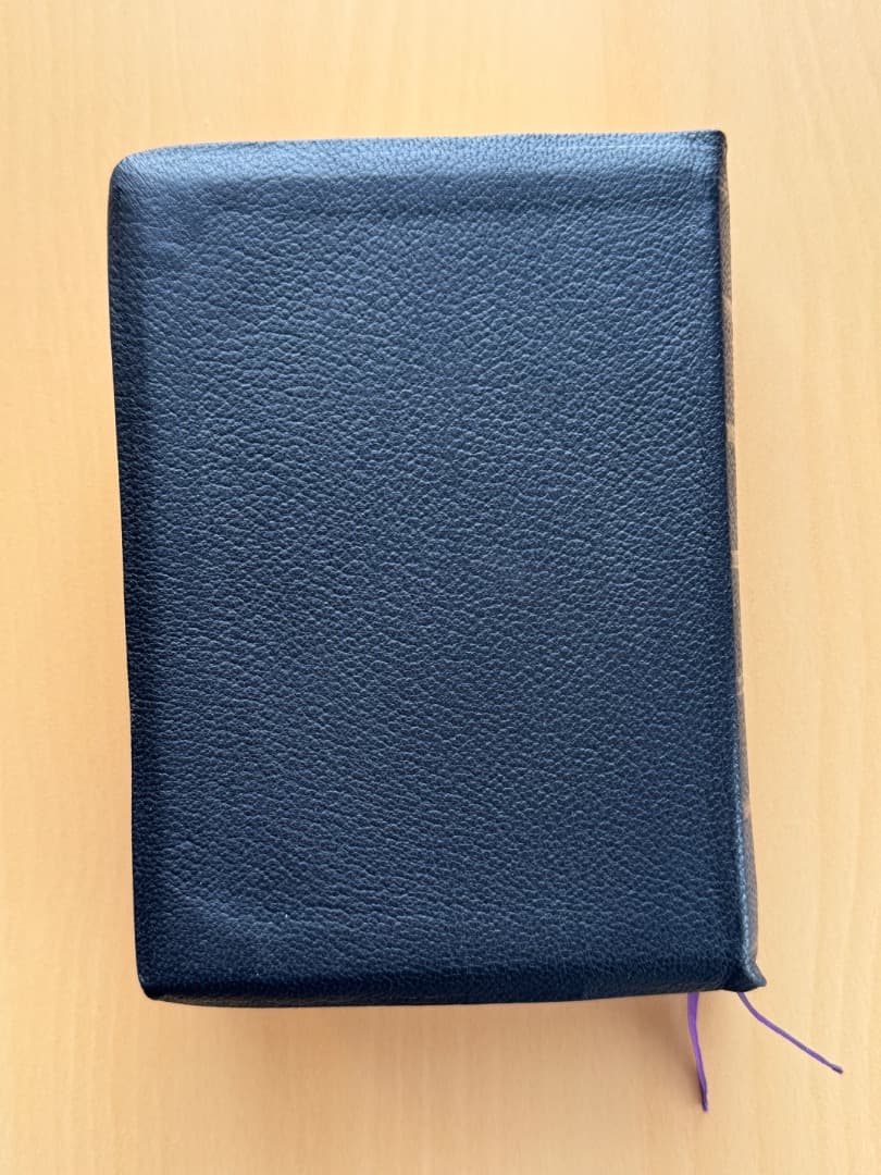 新共同訳聖書　小型　革装　（箱付き）