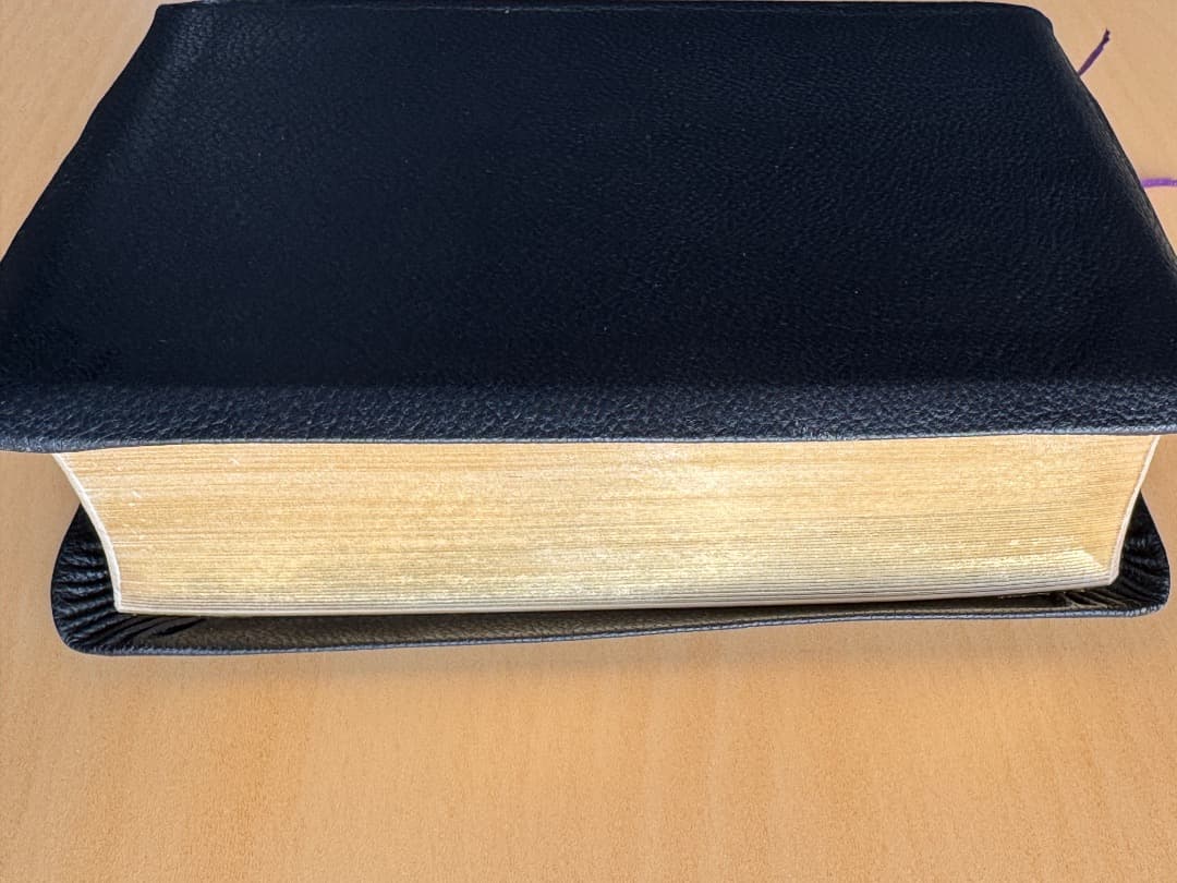 新共同訳聖書　小型　革装　（箱付き）