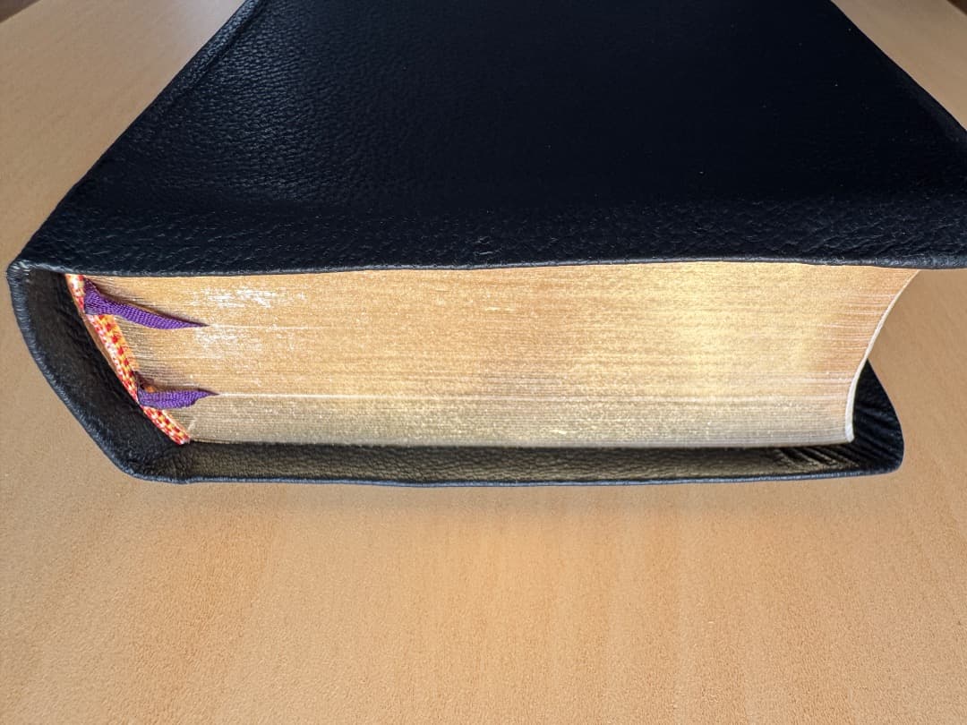 新共同訳聖書　小型　革装　（箱付き）