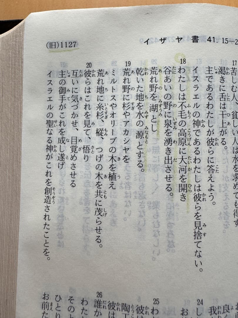 新共同訳聖書　小型　革装　（箱付き）