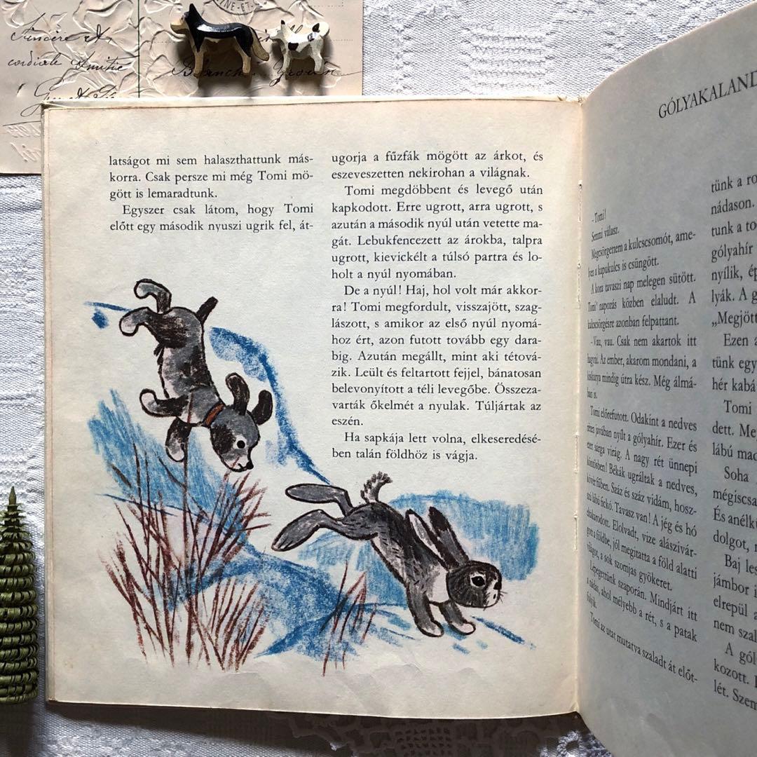 RV53洋書古書 ハンガリー語絵本☆ レイク・カーロイ