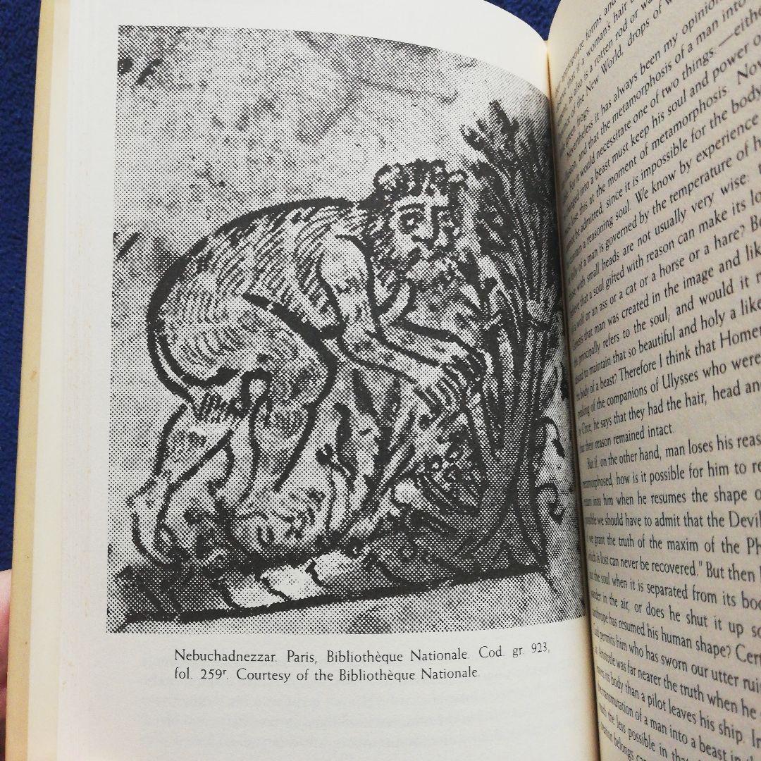 洋書 A Lycanthropy Reader:Werewolves by Otten