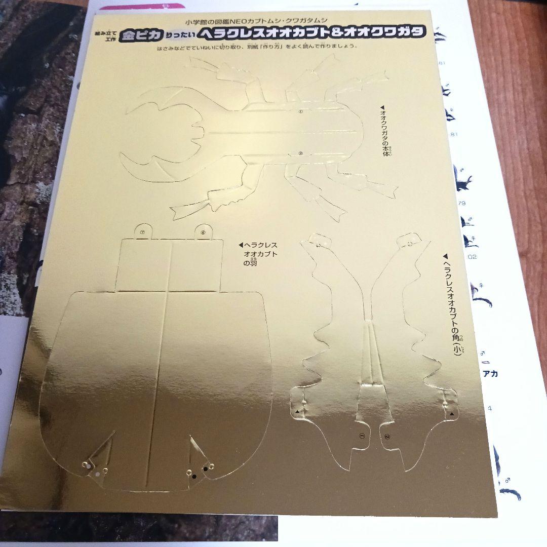 学研の図鑑LIVE 小学館の図鑑NEO 講談社の動く図鑑MOVE 計10冊セット