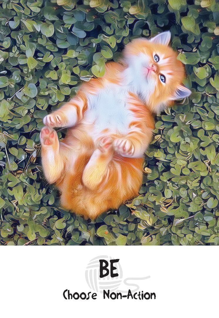 【正規品オラクルカード】新装版✨キュート＆癒し✨可愛い猫たちの知恵のカード
