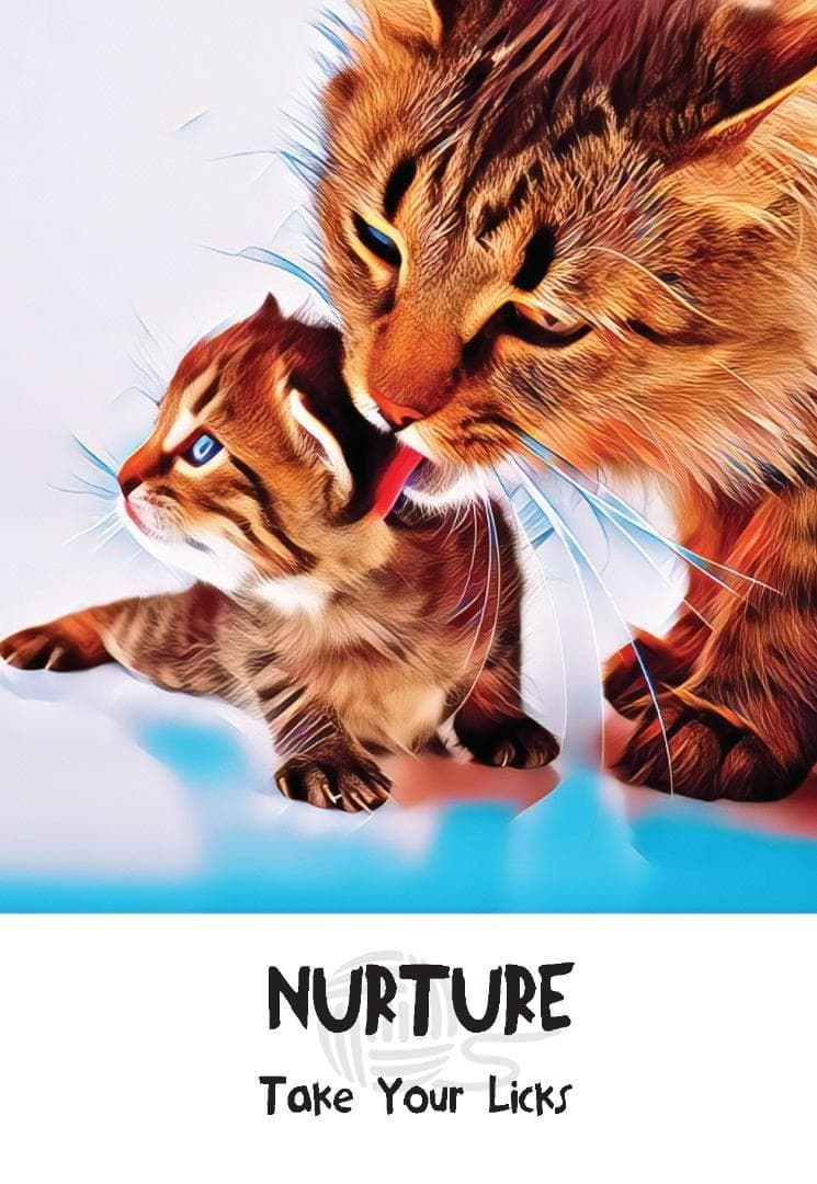 【正規品オラクルカード】新装版✨キュート＆癒し✨可愛い猫たちの知恵のカード