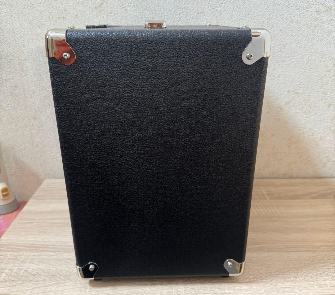 Laney DBF30 ベースアンプ　コンボ レイニー
