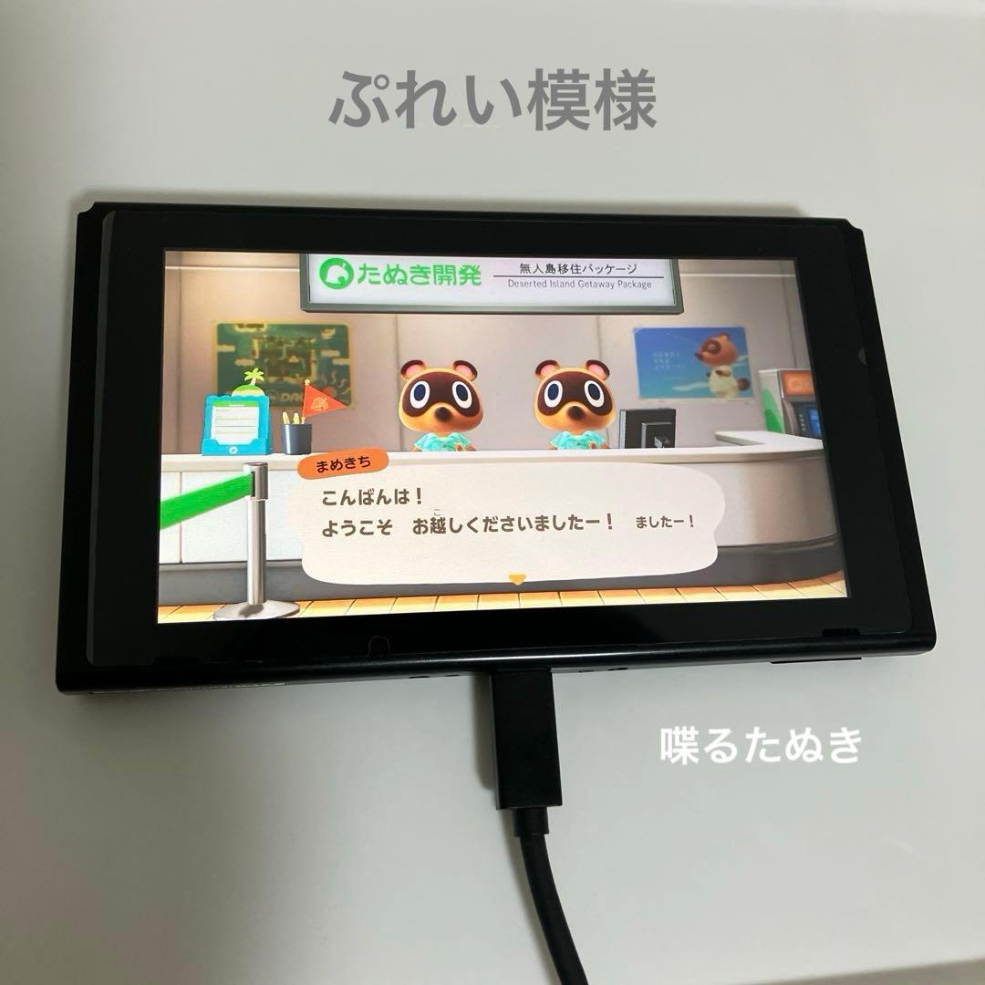 Nintendo switch ⚠️TV出力不可⚠️