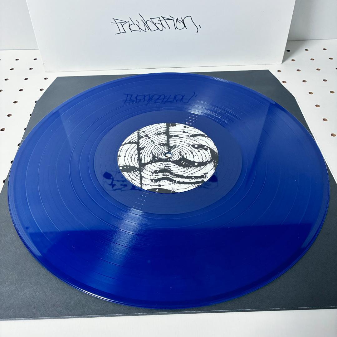 潜伏期間 Incubation レコードの館 co∞ SHU Z