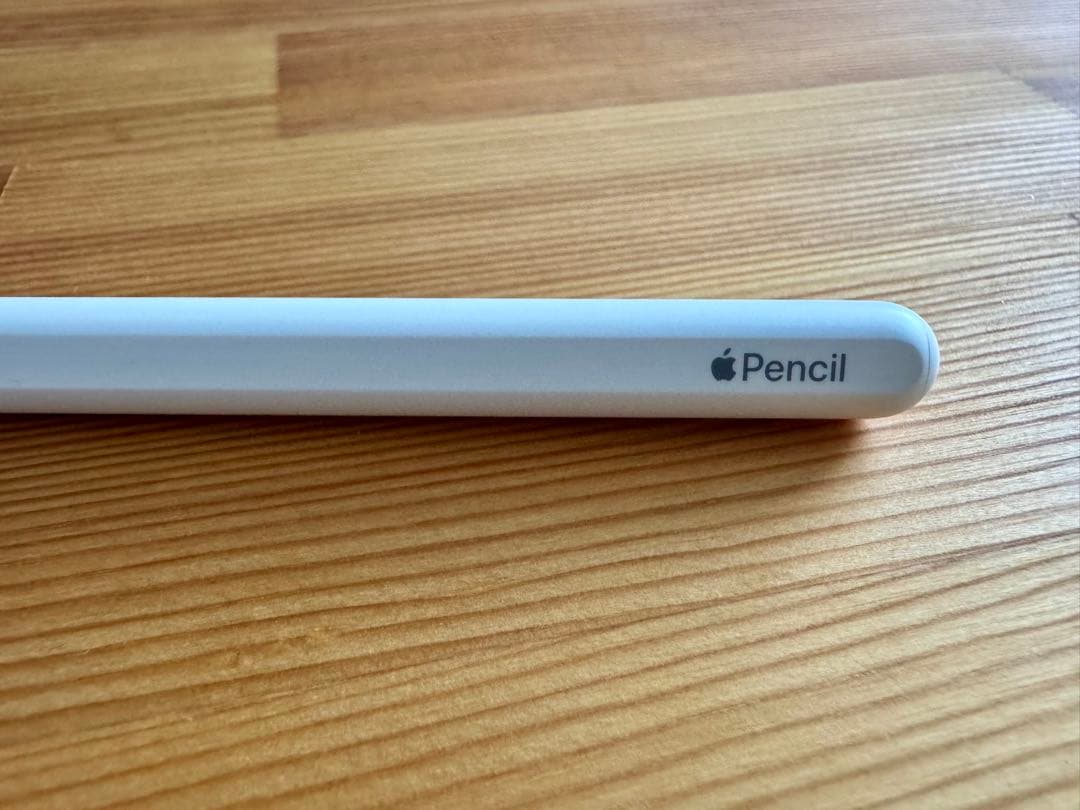 た*ん様 Apple Pencil 第2世代 A2051 純正チップ付き