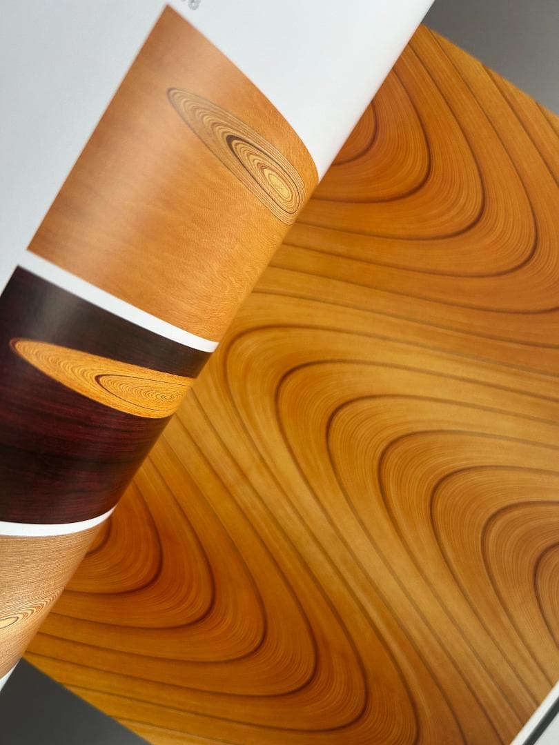 希少本 Tapio Wirkkala Eye,hand and thought