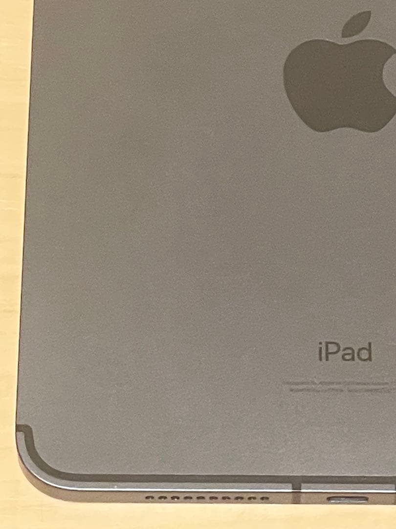 iPad mini (第6世代) 256GB Cellular（スペースグレー）