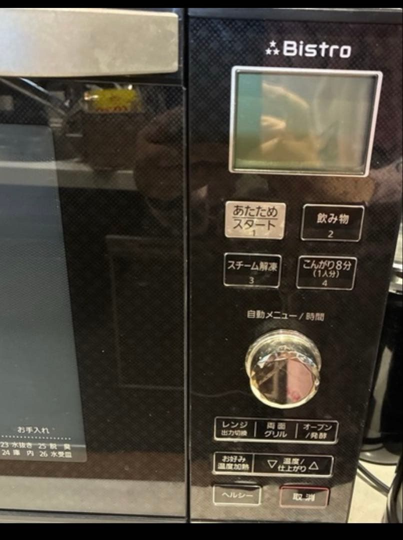 ビストロ スチームオーブンレンジ パナソニック NE-BS600