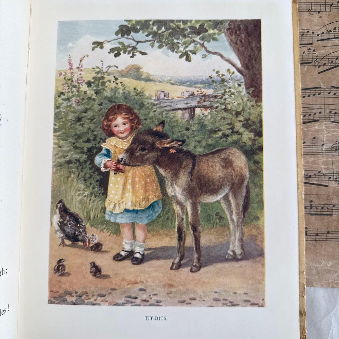 ★専用★まるちゃん様　ヴィクトリアン絵本イギリス洋書　古書ジャンクジャーナル