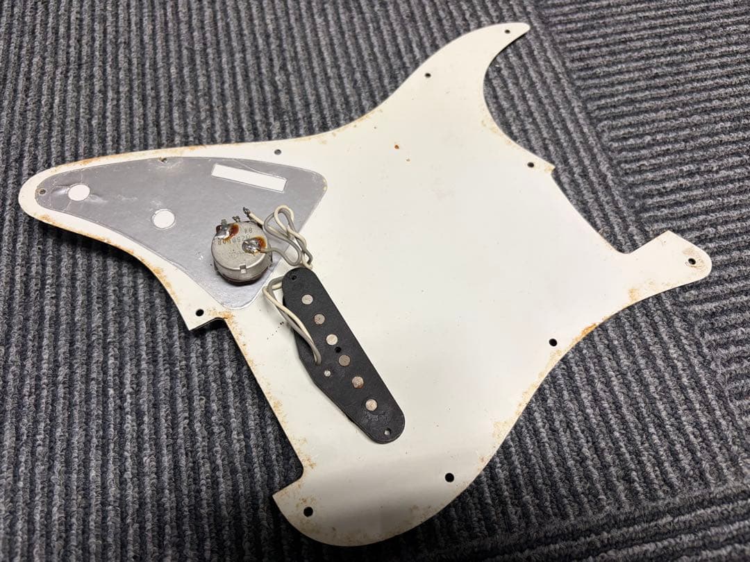 Bill Lawrence シャケモデル 木暮 武彦