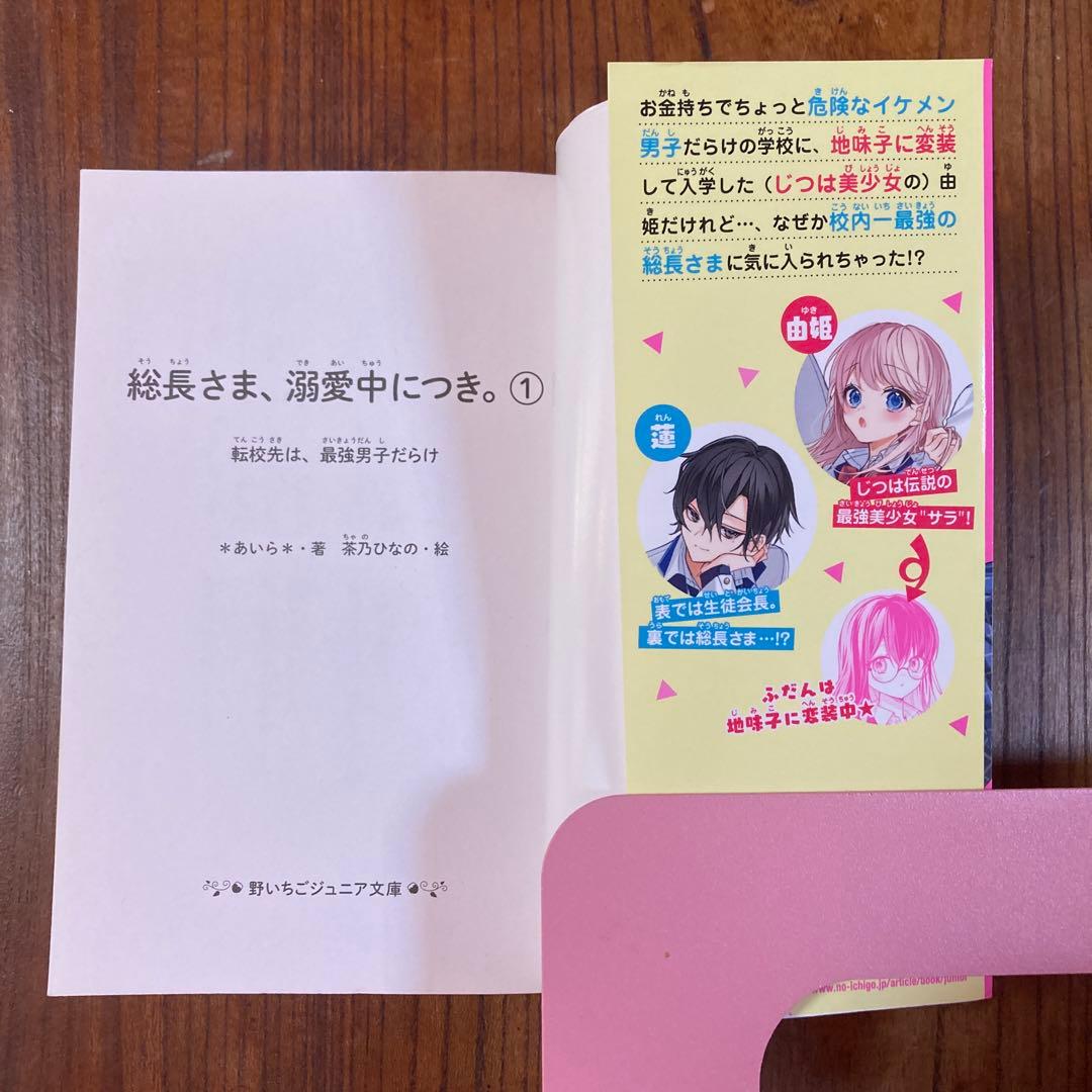 総長さま、溺愛中につき。 1〜12全巻➕11.5巻 13冊セット