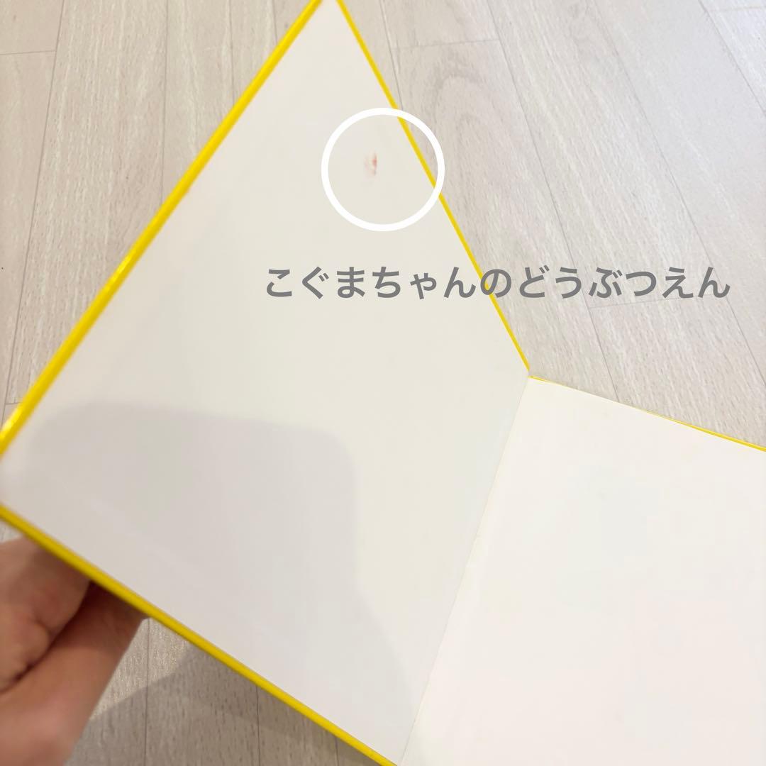 こぐま社こぐまちゃんえほん全15冊セットこぐまちゃんシリーズ幼児絵本