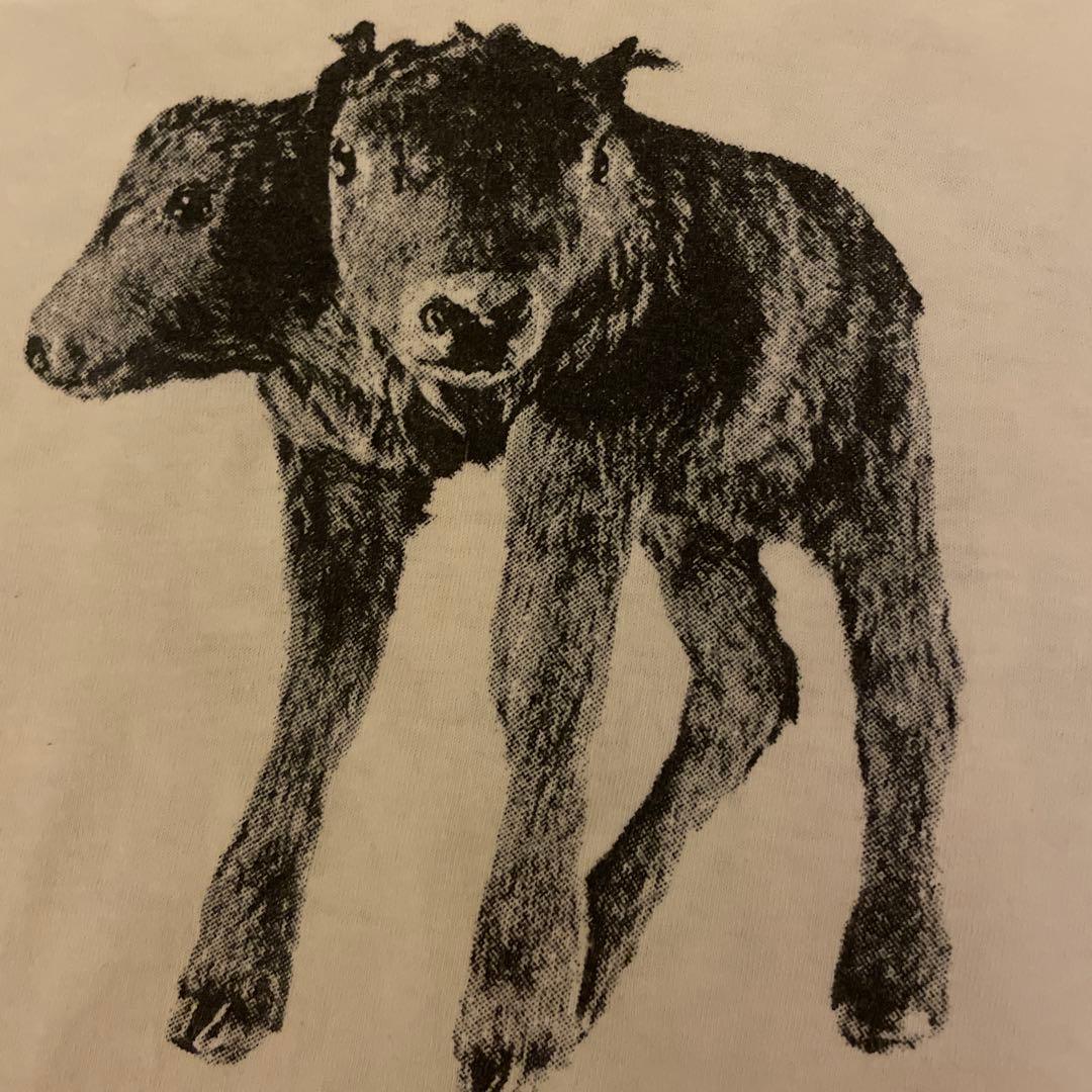 vintage パウエル　オールドスケート　80‘s Tシャツ　レア　サイズM