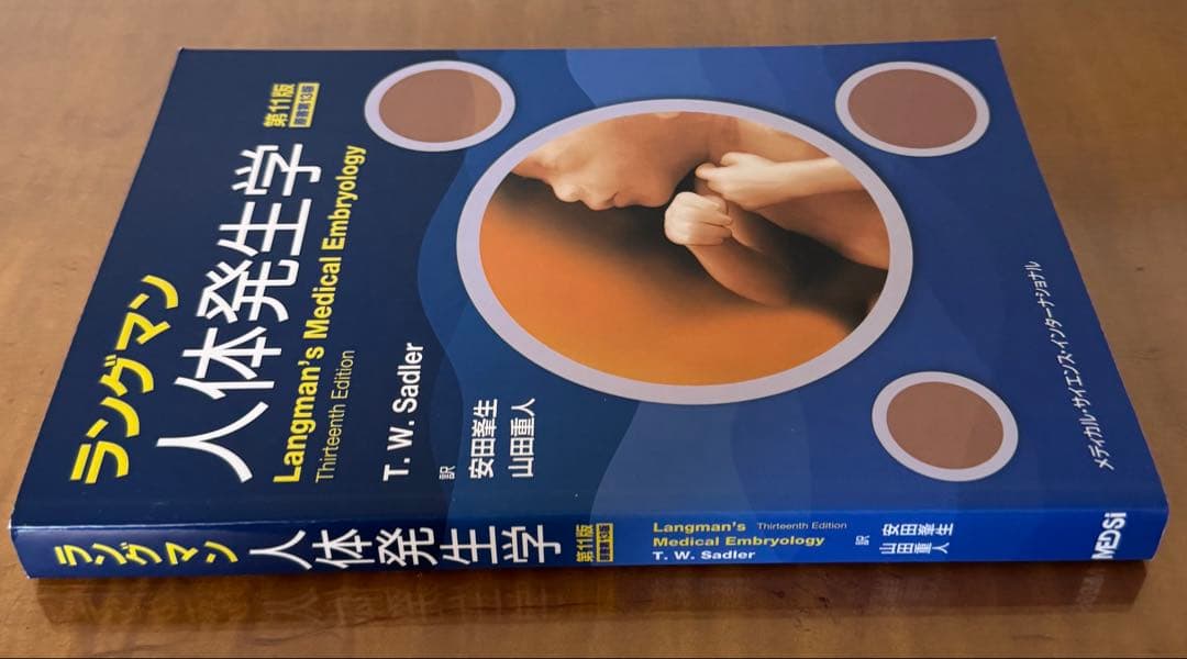 【新品未使用】Medical Embryology 人体発生学　第11版