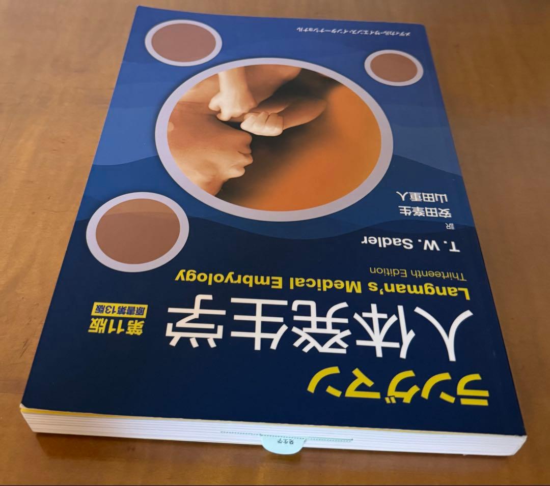【新品未使用】Medical Embryology 人体発生学　第11版
