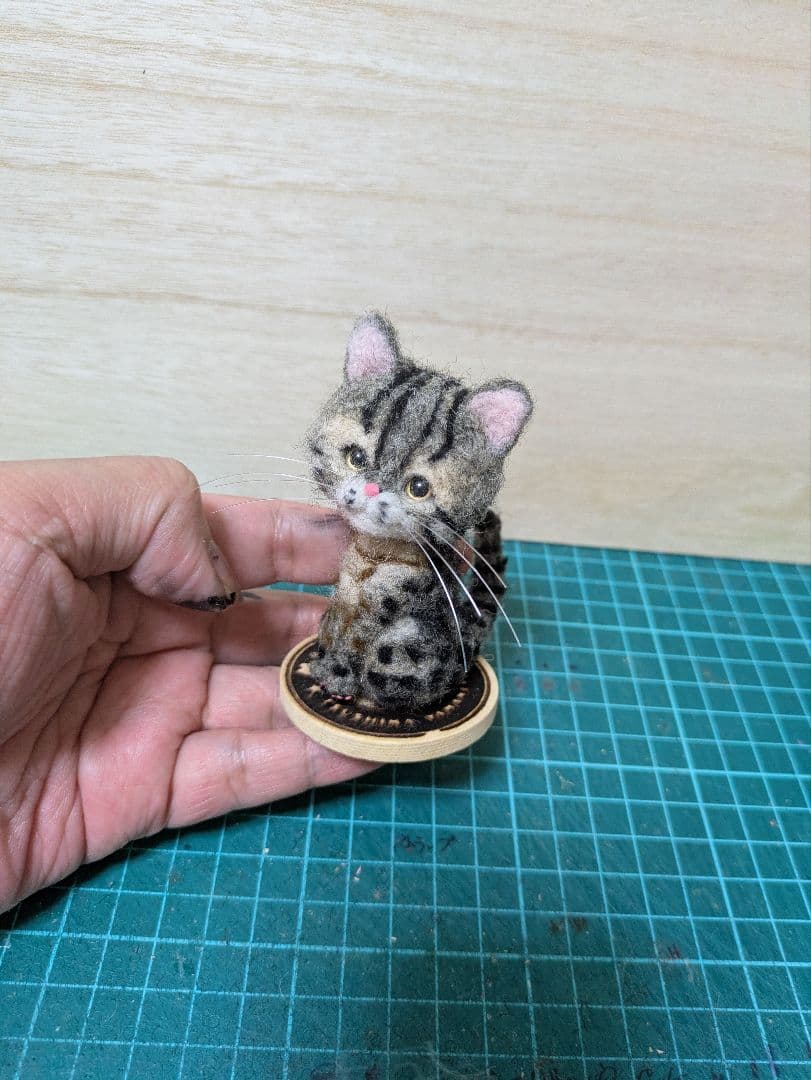 トクラ出品 豆猫PECO-LIN