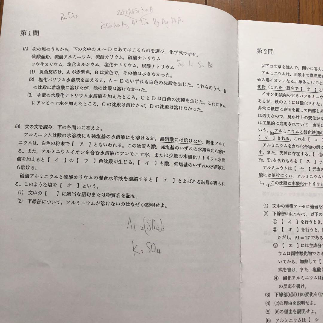 鉄緑会 高2化学基礎講座 復習テスト.総復習テスト.居残り課題