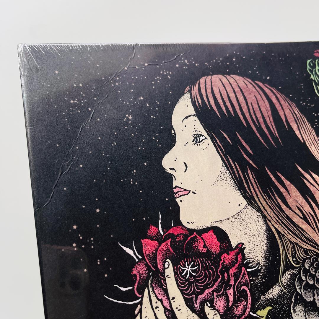 新品 限定250枚 レコード Envy - The Fallen Crimson