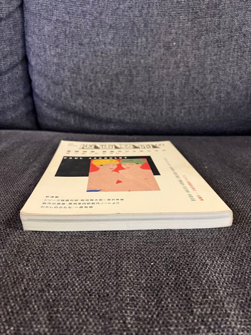 版画藝術60号 1988年刊 ジャクレー特集 廃盤 佐藤達版画付　アート　本