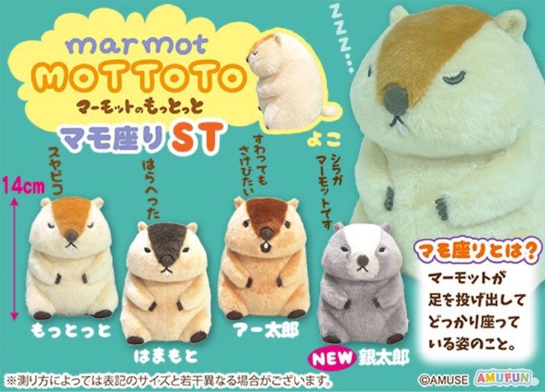 きゃらぱ6枚セット