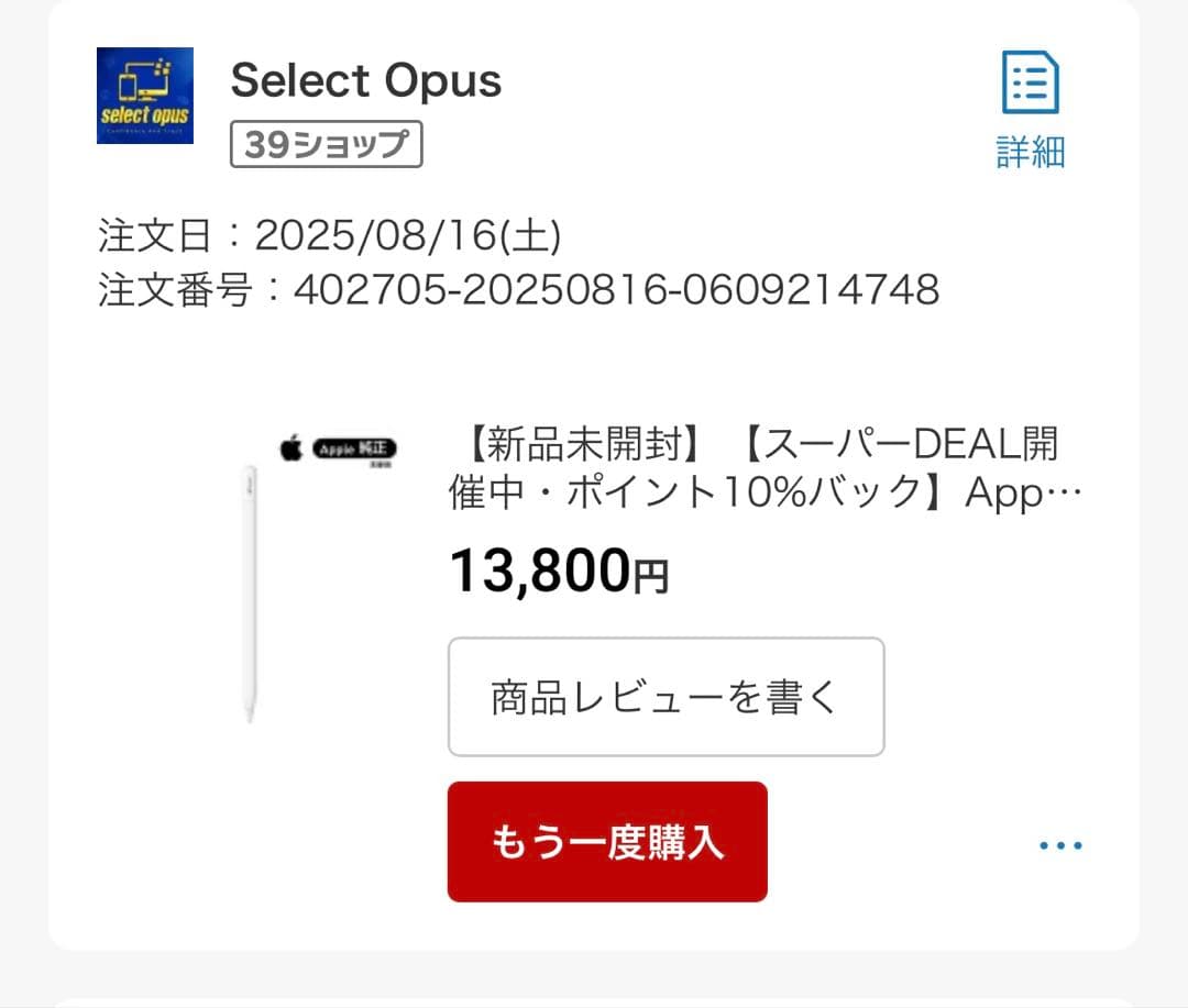Apple Pencil (第2世代) 専用ケース付き　タイプC
