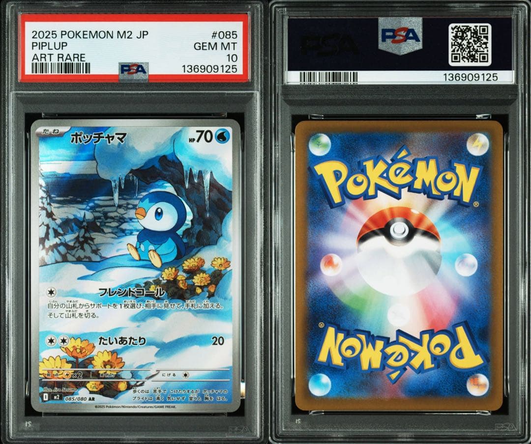 【PSA10】ポッチャマ AR