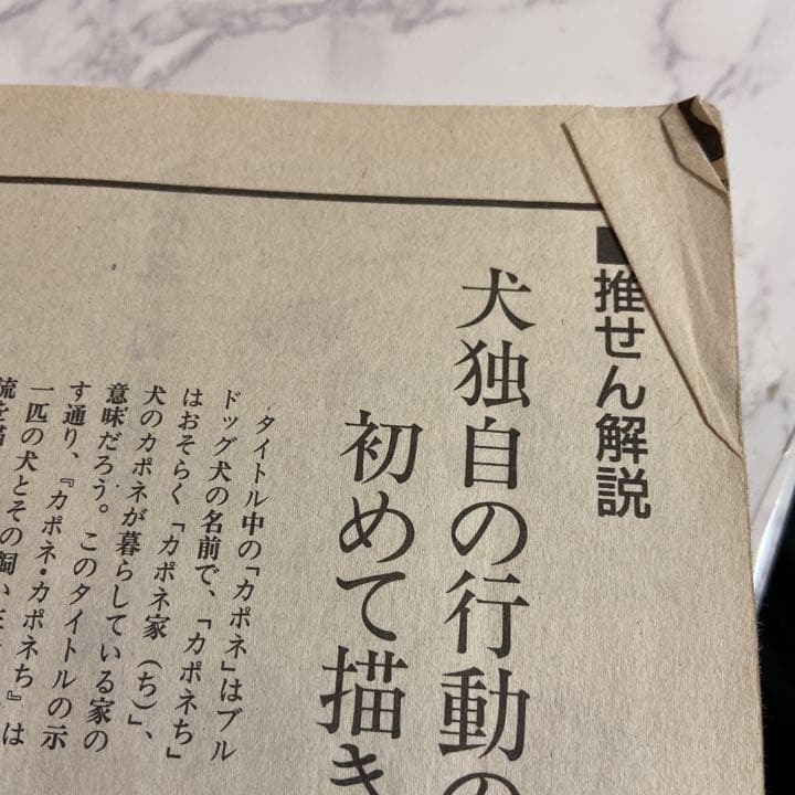 中古　本 小野まゆら カポネカポネチ