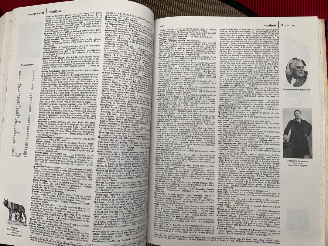 語学・辞書・学習参考書 THE AMERICAN HERITAGE DICTIONARY