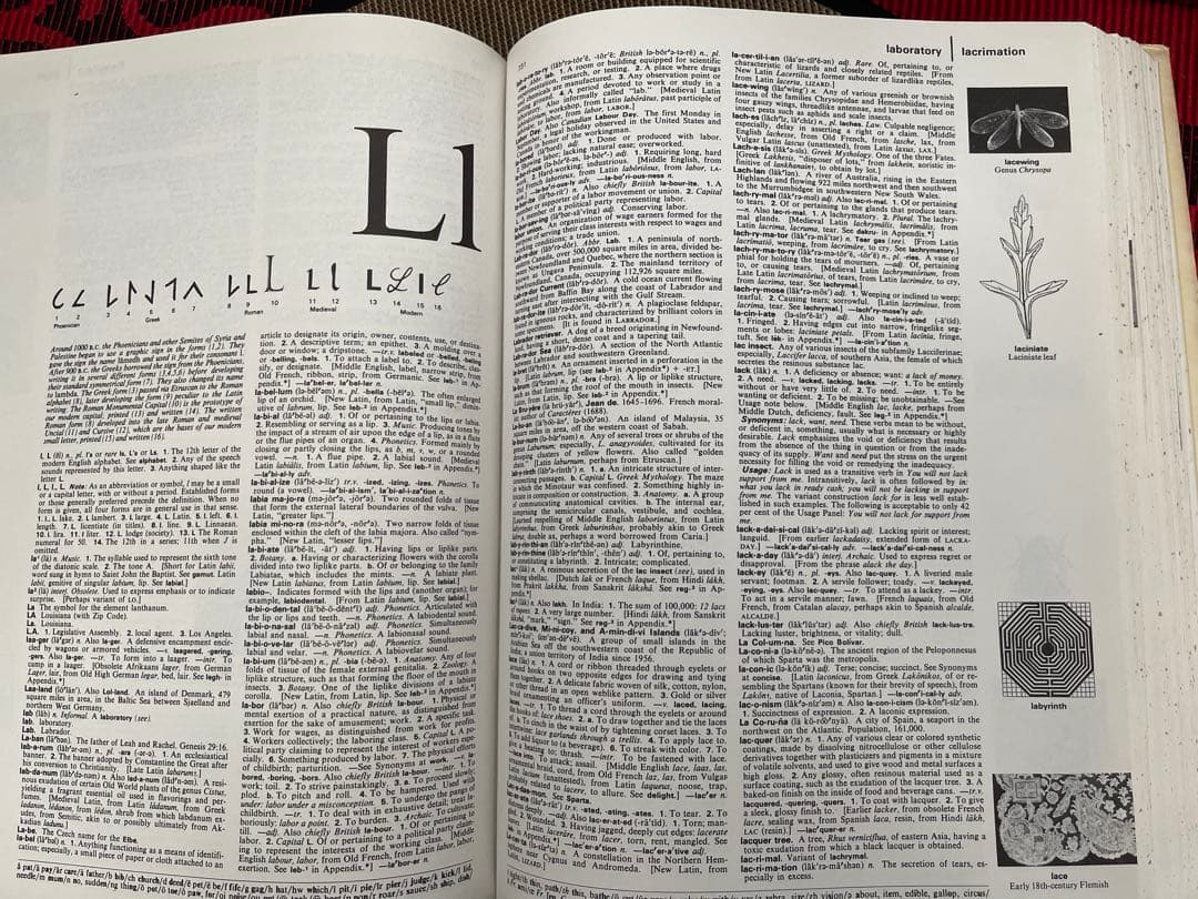 語学・辞書・学習参考書 THE AMERICAN HERITAGE DICTIONARY