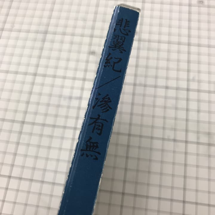 滲有無(にじうむ)/灰野敬二